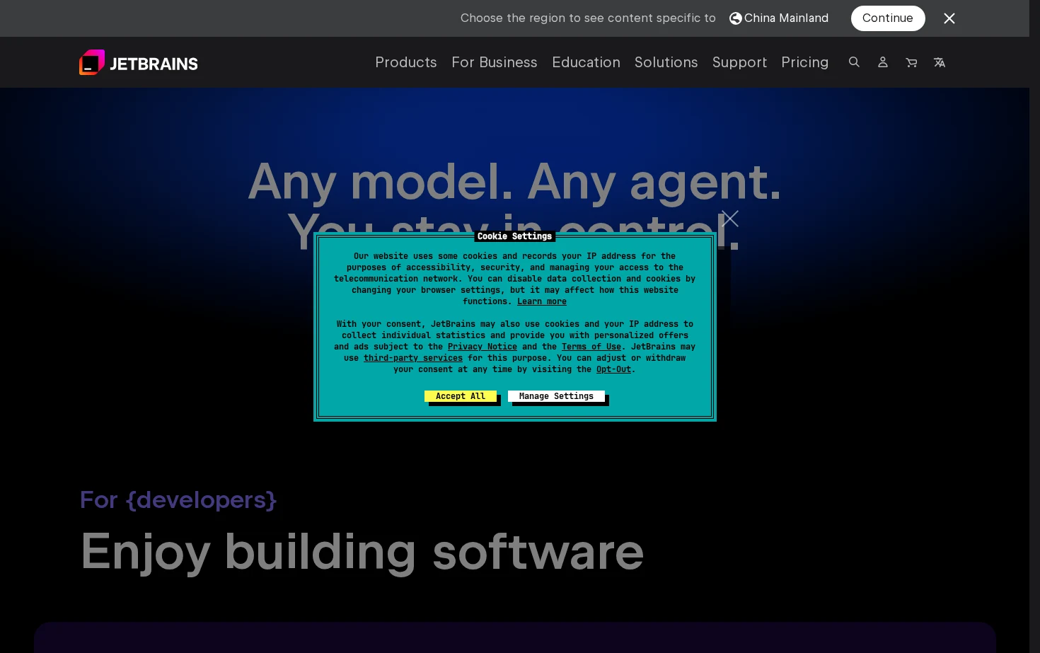 JetBrains 页面快照